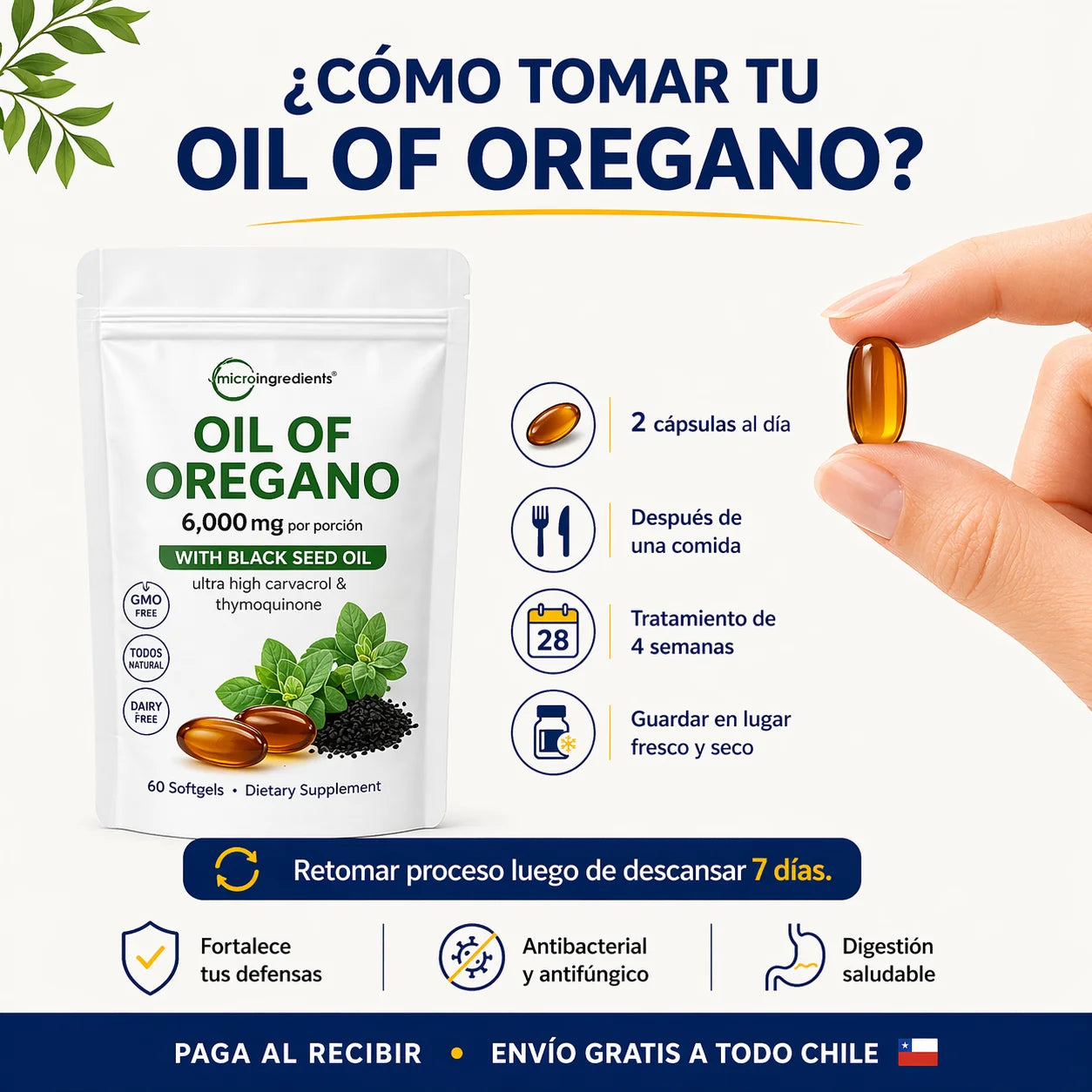 Aceite de Orégano 6.000 mg - El antibiótico natural que debes tener en casa