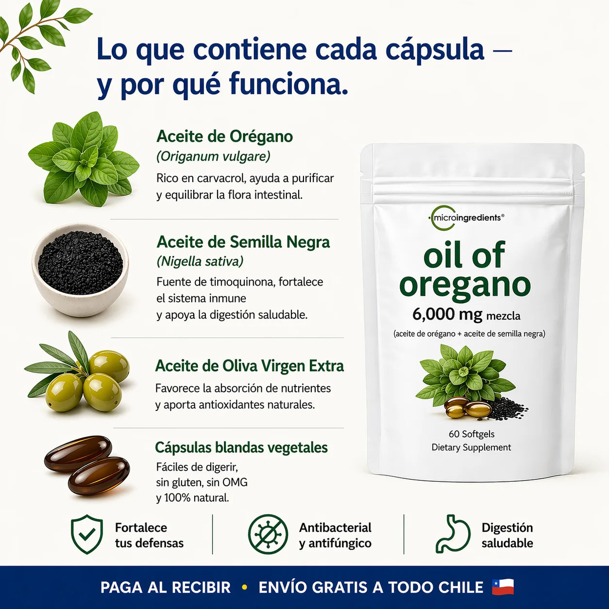 Aceite de Orégano 6.000 mg - El antibiótico natural que debes tener en casa
